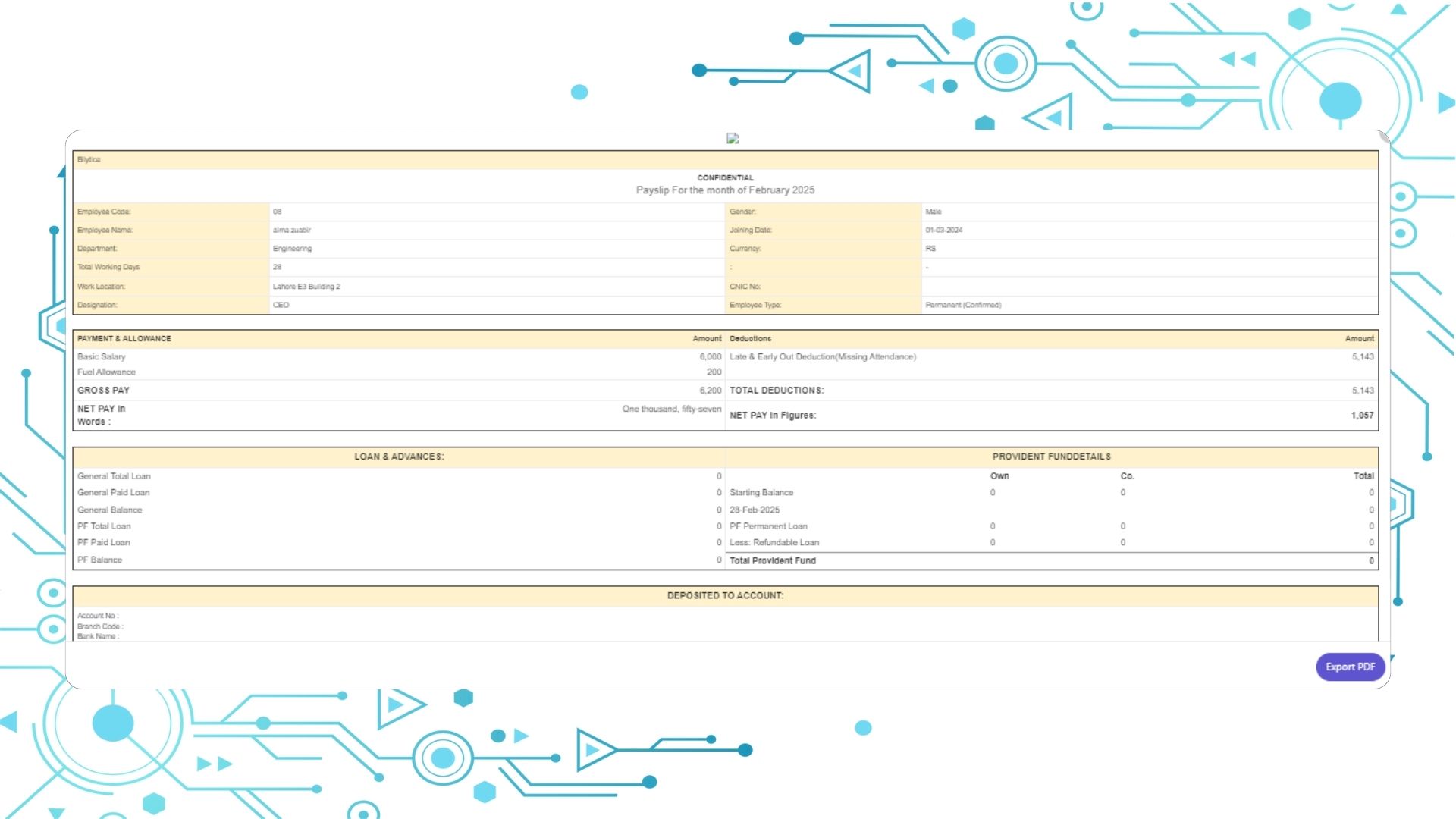 Payslip-Payroll Software