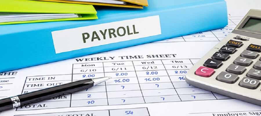 Professional HR manager evaluating digital payroll software in Pakistan on a modern office computer.