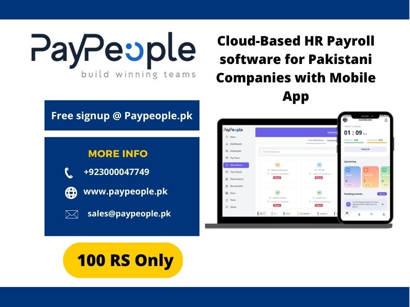Professional dashboard showing real-time logs from attendance software in pakistan for labor compliance.