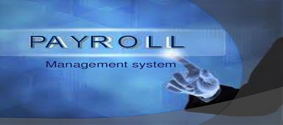 Professional HR manager using cloud payroll software in pakistan on a modern dashboard.