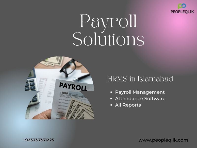Modern office professional using PayPeople cloud dashboard for effective HRMS in Islamabad business operations.