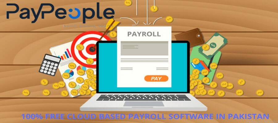 Professional dashboard displaying an integrated HR solution in Pakistan for streamlined business payroll management.