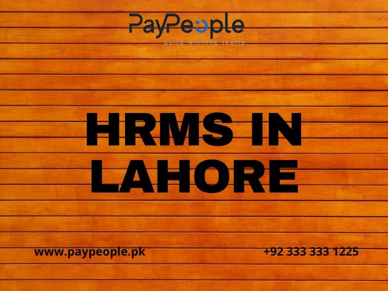 Modern corporate office professionals using digital HRMS in Lahore for streamlined payroll processing.