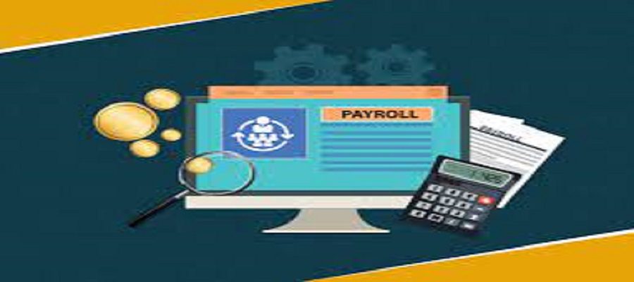 Business professionals in Lahore office discussing cloud based payroll software in pakistan dashboards.